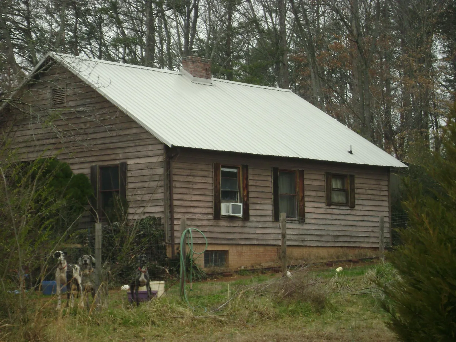 White metal roof on an old wood sided farmhouse, from a Metal Roof Installation job in Lakeside